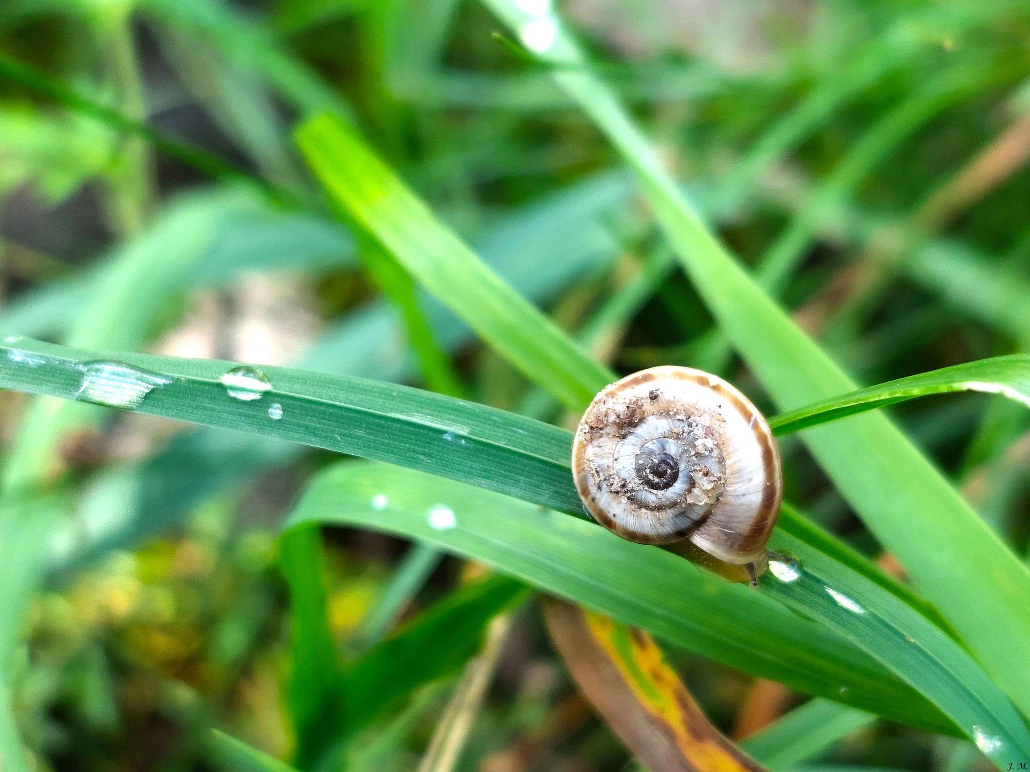 Grėsmės teritorijoms