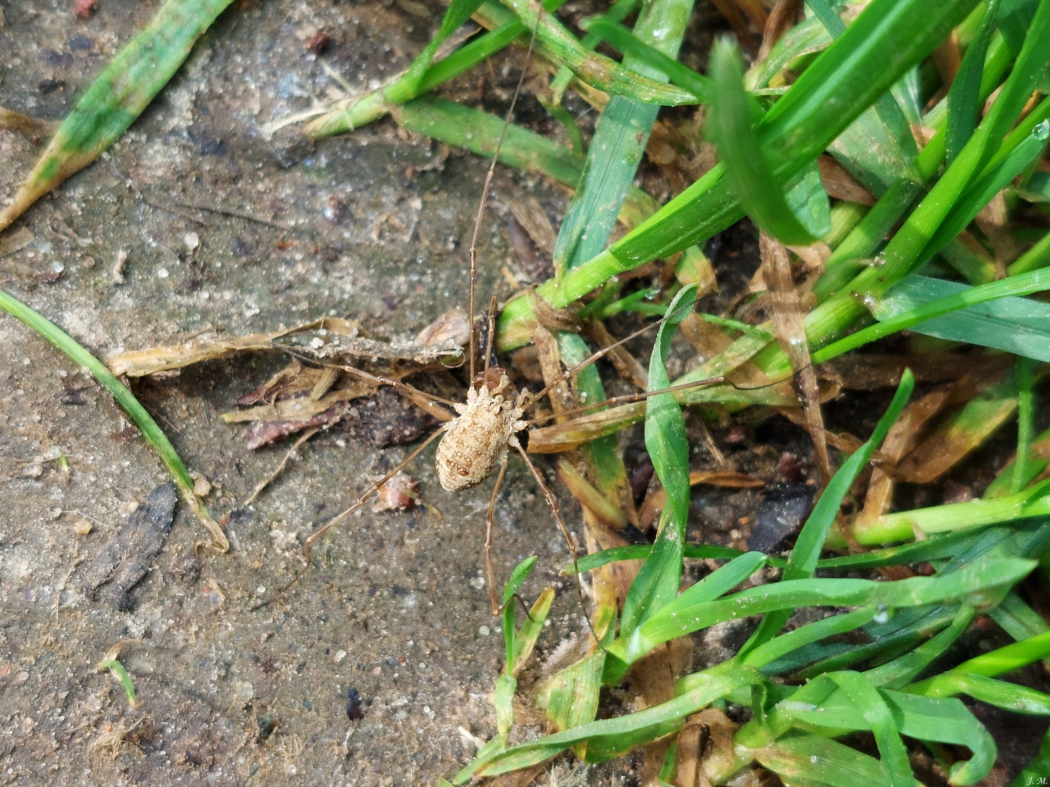 Teisinės ir administracinės spragos