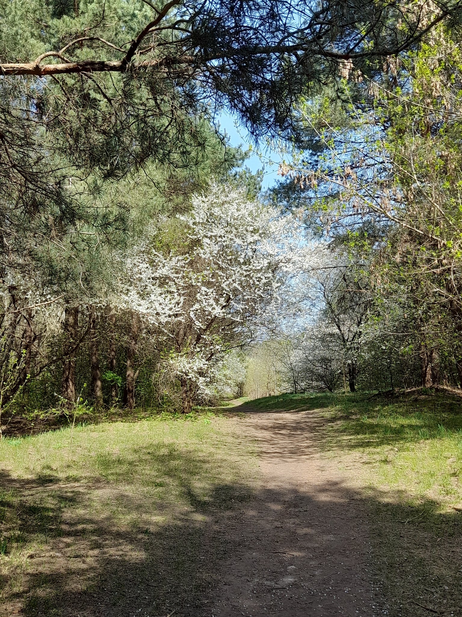 Prisijunk prie mūsų